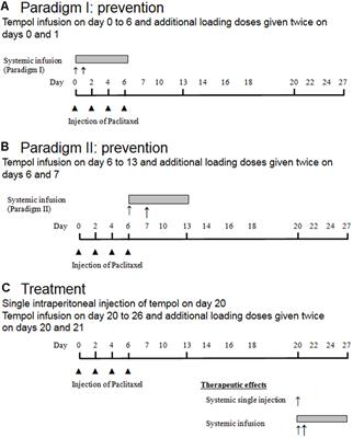 Tempol Ameliorates and Prevents Mechanical Hyperalgesia in a Rat Model of Chemotherapy-Induced Neuropathic Pain